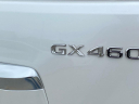 Thumbnail image of 2023 Lexus GX 460 at Capital Toyota