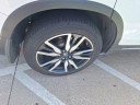 Thumbnail image of 2021 Honda Pilot at FreemanToyota USED