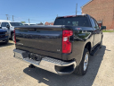 Thumbnail image of 2024 Chevrolet Silverado 1500 at NEW - DaveKehlChevrolet