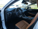 2020 Lexus NX 300h Base at North Park Lexus Rio Grande Valley - NEW