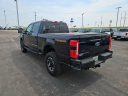 Thumbnail image of 2023 Ford F-350 Super Duty at Osseo Ford