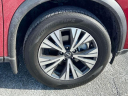 Thumbnail image of 2023 Nissan Rogue at Nissan of Westbury