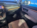2019 Honda CR-V EX-L at AMSI-GaryYeomansHonda-New of Daytona Beach, FL