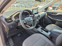 Thumbnail image of 2022 Ford Escape at Avis Ford