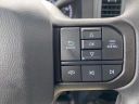 Thumbnail image of 2023 Ford F-250 Super Duty at Dick Smith Ford Of Columbia