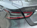Thumbnail image of 2023 Nissan Maxima at South Shore Kia
