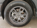 Thumbnail image of 2023 Ford Bronco Sport at Bredemann Ford in Glenview NEW