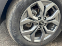 Thumbnail image of 2024 Kia Seltos at Spitzer Kia