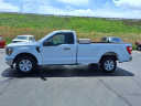Thumbnail image of 2023 Ford F-150 at Manning Ford