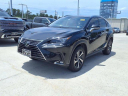 Thumbnail image of 2021 Lexus NX 300 at Northside Fiat USED