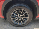 Thumbnail image of 2024 Lexus NX 250 at GermainLexus-New of Naples, FL