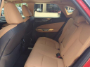 Thumbnail image of 2024 Lexus NX 250 at GermainLexus-New of Naples, FL
