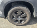 Thumbnail image of 2022 Honda Pilot at The New Babylon Honda