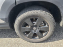 Thumbnail image of 2022 Honda Pilot at The New Babylon Honda