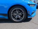 Thumbnail image of 2024 Ford Mustang at CourtesyFordLincolnOfRome-New of Rome, GA