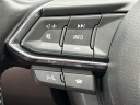 Thumbnail image of 2022 Mazda CX-9 at Garden City Mazda
