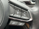 Thumbnail image of 2022 Mazda CX-9 at Garden City Mazda