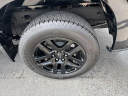 Thumbnail image of 2025 Chevrolet Silverado 1500 at NorthsideChevroletBuickGMC-New of Summersville, WV
