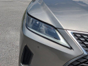Thumbnail image of 2022 Lexus RX 350 at Hilton Head Lexus