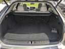 Thumbnail image of 2022 Lexus RX 350 at Hilton Head Lexus