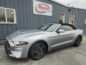 Thumbnail image of 2022 Ford Mustang at Quest Auto Sales, Inc