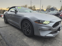 Thumbnail image of 2022 Ford Mustang at Quest Auto Sales, Inc