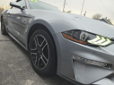 Thumbnail image of 2022 Ford Mustang at Quest Auto Sales, Inc