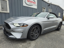 2022 Ford Mustang EcoBoost at Quest Auto Sales, Inc