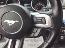Thumbnail image of 2022 Ford Mustang at Quest Auto Sales, Inc