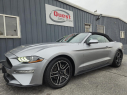 Thumbnail image of 2022 Ford Mustang at Quest Auto Sales, Inc