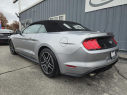 Thumbnail image of 2022 Ford Mustang at Quest Auto Sales, Inc