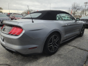Thumbnail image of 2022 Ford Mustang at Quest Auto Sales, Inc