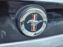 Thumbnail image of 2014 Ford Mustang at Tommy's Quality Used Cars