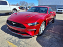 2021 Ford Mustang EcoBoost at Briarwood Ford