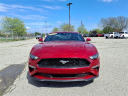 Thumbnail image of 2021 Ford Mustang at Briarwood Ford