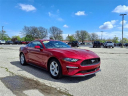 Thumbnail image of 2021 Ford Mustang at Briarwood Ford