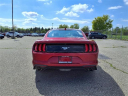 Thumbnail image of 2021 Ford Mustang at Briarwood Ford