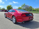 Thumbnail image of 2021 Ford Mustang at Briarwood Ford
