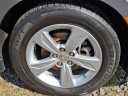Thumbnail image of 2019 Honda Odyssey at Honda of Bridgewater