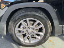 Thumbnail image of 2022 GMC Terrain at Empire Cadillac of Long Island City