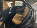 2025 Lexus NX 450h+ Base at Northtown Lexus