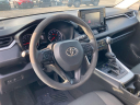 Thumbnail image of 2021 Toyota RAV4 at Cavender Toyota