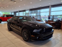 Thumbnail image of 2013 Ford Shelby GT500 at Briarwood Ford