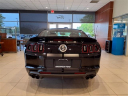 Thumbnail image of 2013 Ford Shelby GT500 at Briarwood Ford