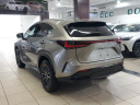 Thumbnail image of 2024 Lexus NX 250 at Lexus of West Kendall Used