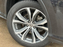 Thumbnail image of 2017 Lexus RX 350 at Jupiter Chevrolet - NEW