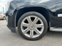 Thumbnail image of 2015 Cadillac Escalade at MPH Auto Group