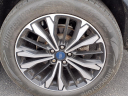 Thumbnail image of 2021 Ford Escape at Bob Maxey Of Howell
