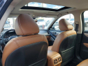 Thumbnail image of 2024 INFINITI Q50 at LorenzoNissan-New of Ft Lauderdale, FL