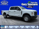 Thumbnail image of 2024 Ford F-350 Super Duty at Palm Bay Ford Used